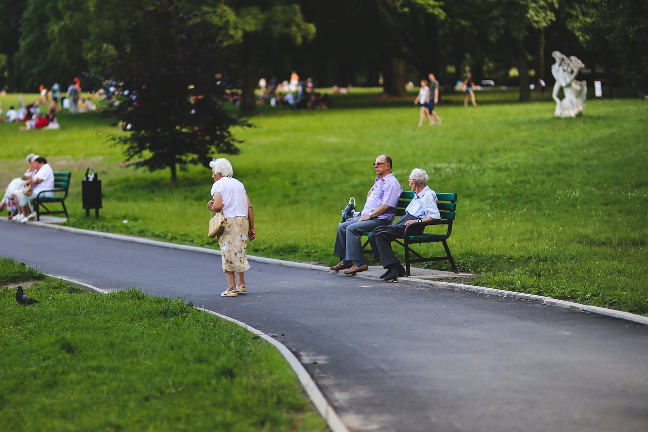découvrez tout ce qu'il faut savoir sur les pensions : types, fonctionnement, conseils pour une retraite sereine et bien préparée. informez-vous sur les options de pension disponibles pour un avenir financier meilleur.