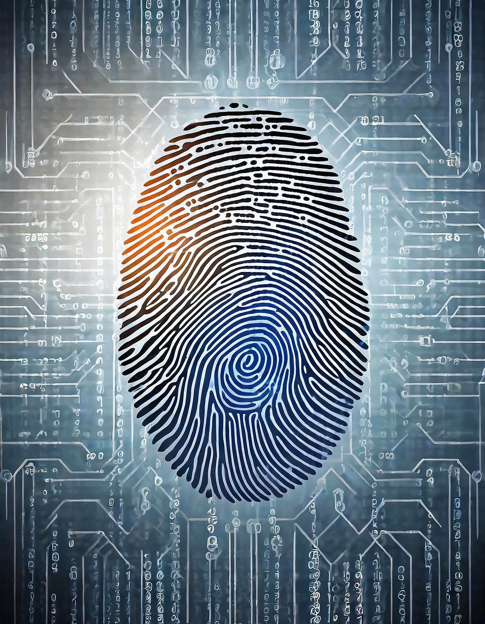 découvrez tout ce que vous devez savoir sur la carte d'identité : son importance, son utilisation, et les démarches pour l'obtenir. ne laissez pas l'administratif vous freiner dans vos projets !