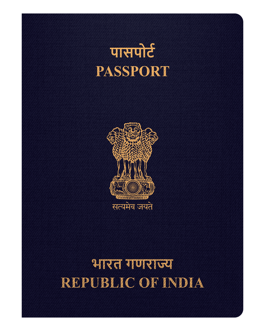 obtenez une assistance complète pour le renouvellement de votre passeport. simplifiez vos démarches administratives avec notre service dédié, vous guidant à chaque étape du processus pour un renouvellement rapide et sans stress.