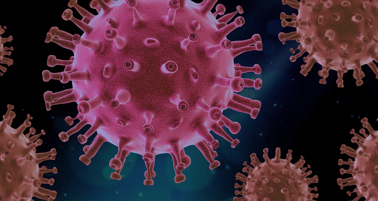 découvrez les dernières informations sur le covid-19 : actualités, conseils de prévention, vaccins et impacts sur la santé publique. restez informé pour protéger votre santé et celle de vos proches.