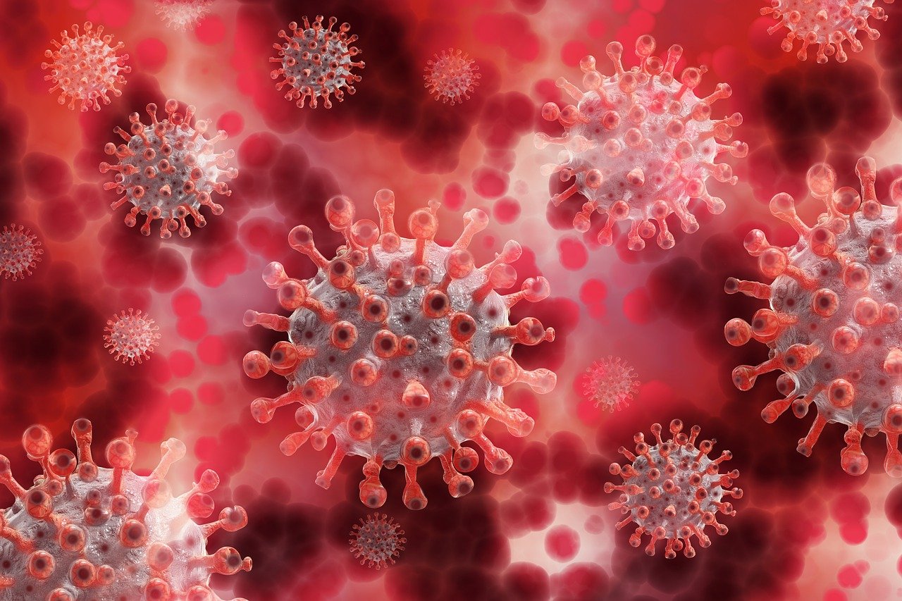 découvrez toutes les informations essentielles sur le covid-19, y compris les symptômes, les mesures de prévention, les dernières actualités et les conseils pour rester en sécurité. restez informé pour protéger votre santé et celle des autres.