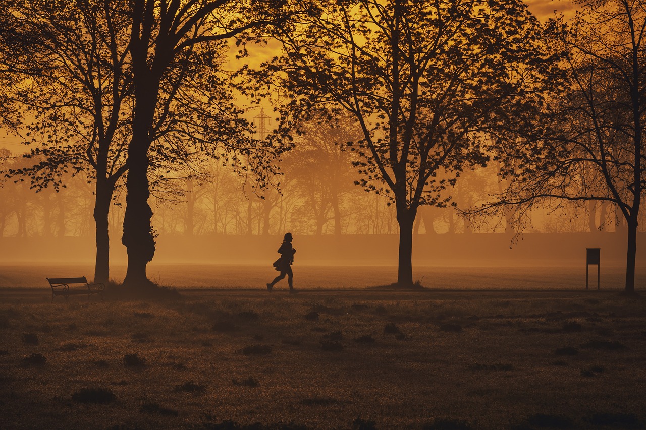 découvrez l'univers du running : conseils, entraînements, équipements et nutrition pour améliorer vos performances et profiter pleinement de chaque course.