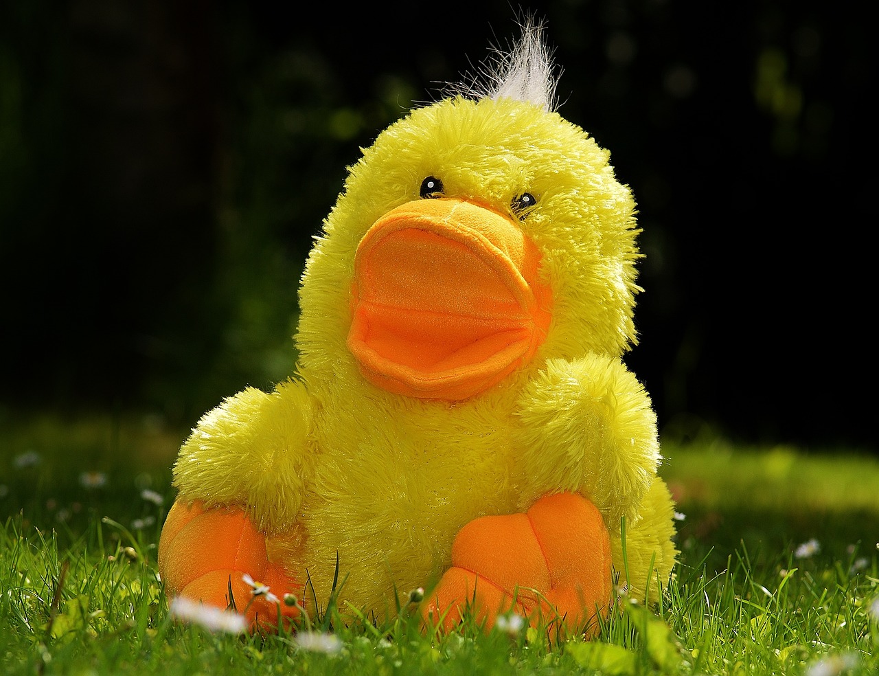 découvrez notre large sélection de jouets pour enfants de tous âges. des jeux éducatifs aux peluches adorables, trouvez le cadeau parfait pour stimuler l'imagination et le plaisir de votre petit. amusement garanti avec des produits de qualité qui respectent les normes de sécurité.