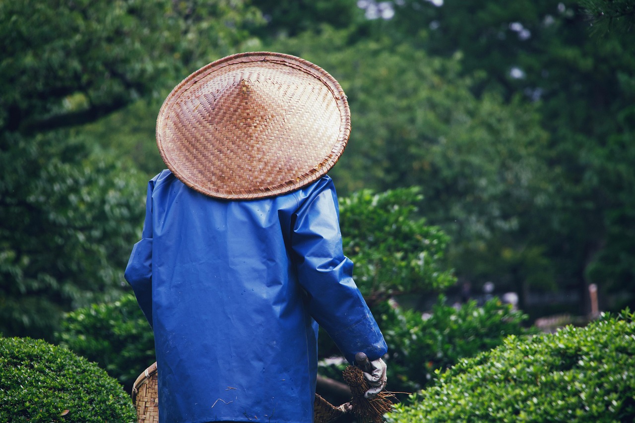 découvrez l'univers du jardinage avec nos conseils pratiques, astuces et techniques pour cultiver vos plantes, fleurs et légumes. transformez votre espace extérieur en un havre de paix verdoyant et apprenez à entretenir votre jardin tout au long de l'année.